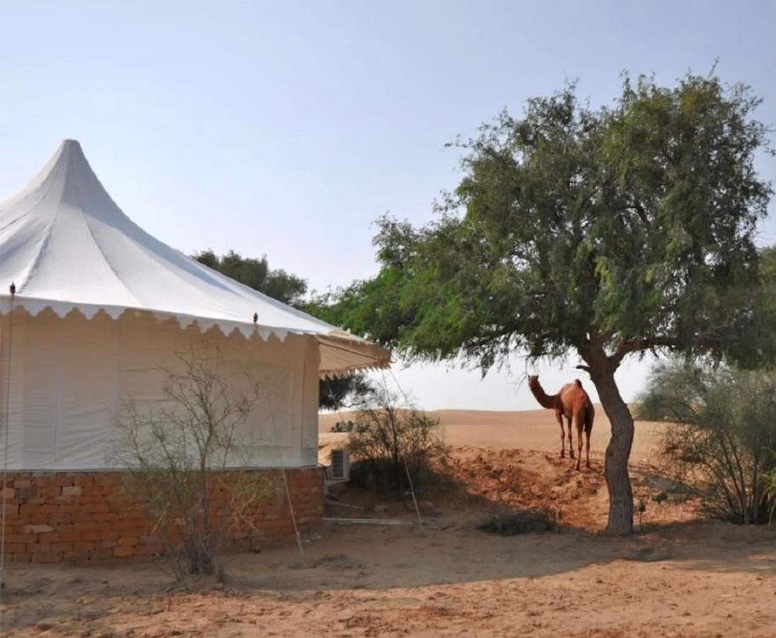 Wild Heritage Desert Camp Jaisalmer Exterior photo
